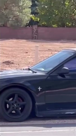 “I got that roush” mustang