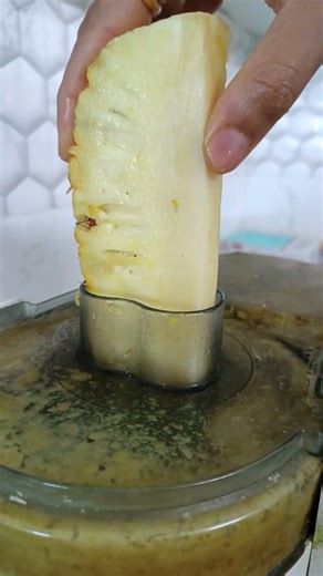 Assemble Sujata Juicer | Step by Step Guide | Easy Setup | Dr. Zarna Patel (NDS) | New Diet System