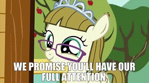 we promise you'll have our full attention.