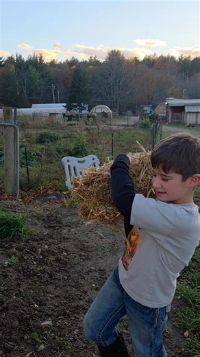 Join little Farmer Briar as he tends to his after-school farm chores. This afternoon, he is bedding our newest piglets 🐷 | Theo's Market Gardens