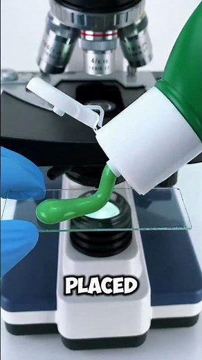 😱 What's REALLY Inside Your Shampoo? Toxic Secrets Exposed! ⚠️💀