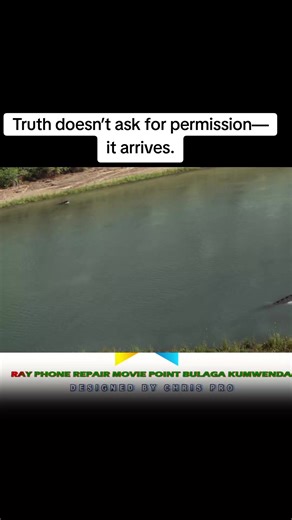 Ray Phone Repair Movie Insights and Plot Details