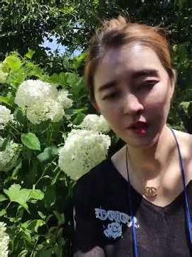 #첫번째장소 #수국사랑농원 #수국 #물어봅시다송아리