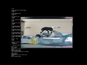 Motorized zoom lens auto-focus demo (with Python sources)