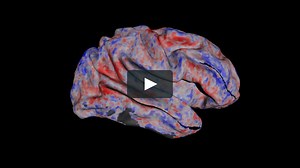 Episode 4: Decoding Our Senses