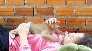 Daughter Sara The Best Groomer For Mom Relaxing | Monkey Daily