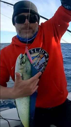 Deepwater Jigging for Mahi-Mahi #fish #ocean #fishing