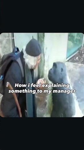 How I Feel Explaining Things to My Manager 😭 | Corporate Meme