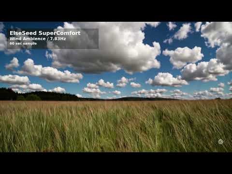 Wind Sound | 1 Hour | 7.83 Flow