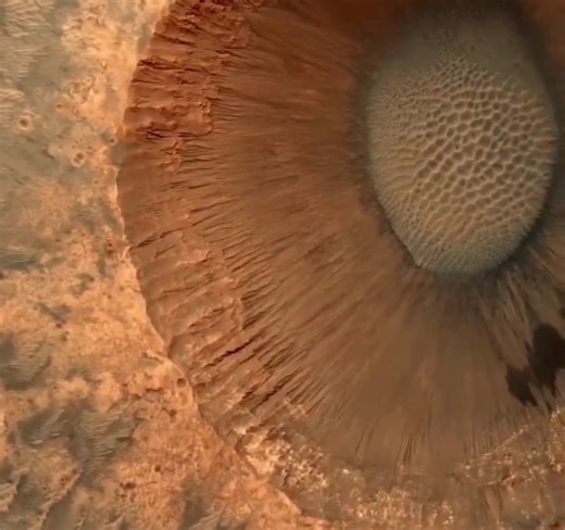 55K views · 1.1K reactions | Mars surface captured this rare footage by Curiosity Rover | Jock Williams Meteorologist | Facebook