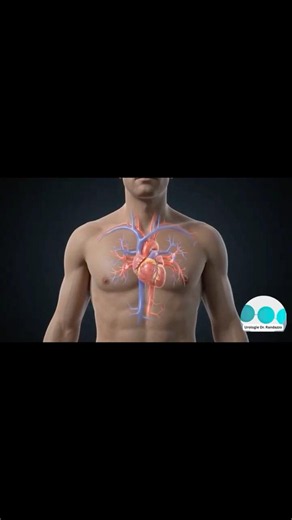 Why Tadalafil is more than just a medication #biohacking #health