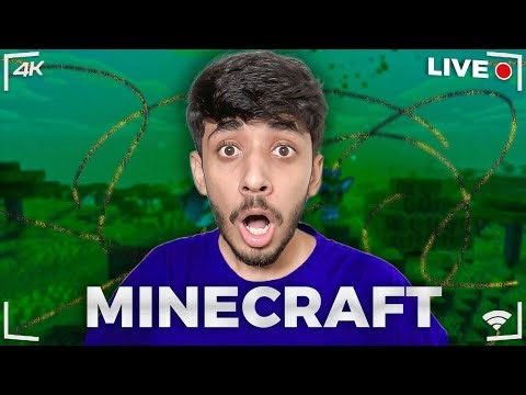 DAY 1 : Playing Minecraft Until I beat it...