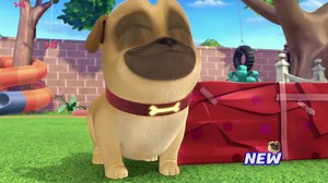 11K views · 168 reactions | What did Bingo and Rolly get for their Birthday surprises? Find out this Friday at 10a on Disney Junior!  | Disney Jr. | Facebook