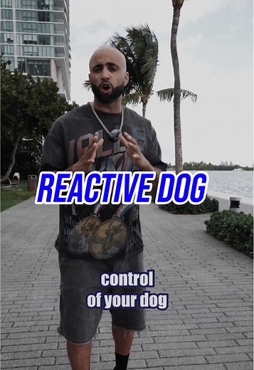 Preventing Dog Attacks: Essential Training and Control Tips