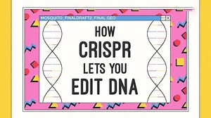CRISPR技术如何让你编辑DNA
