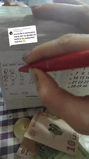 Writing a Monthly Budget Plan with a Red Pen