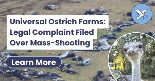 Universal Ostrich Farms: Legal Complaint Filed Over Mass-Shooting