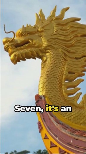 10 AMAZING FACTS ABOUT PHOENIX.( COMMENT BELOW DO YOU BELIEVE THAT PHOENIX IS REAL OR A MYTH) ?