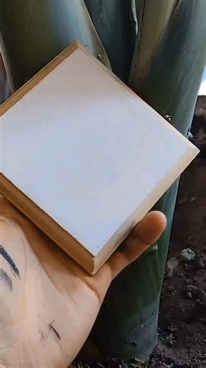 Alien... #alien #alienisolation #scifi #xenomorph #darkart | Luis Ivan Ceja Tavera | Facebook