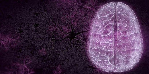 NOVA | Your Brain: Perception Deception | WTTW