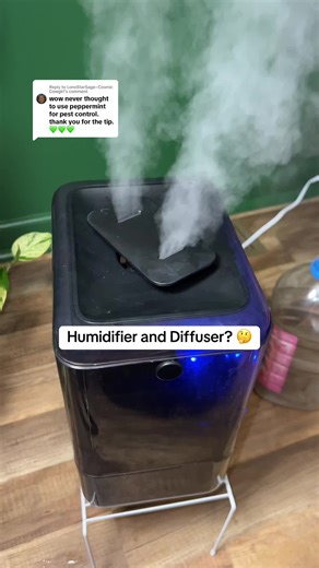 Affordable 2-in-1 Humidifier for Plants and Homes