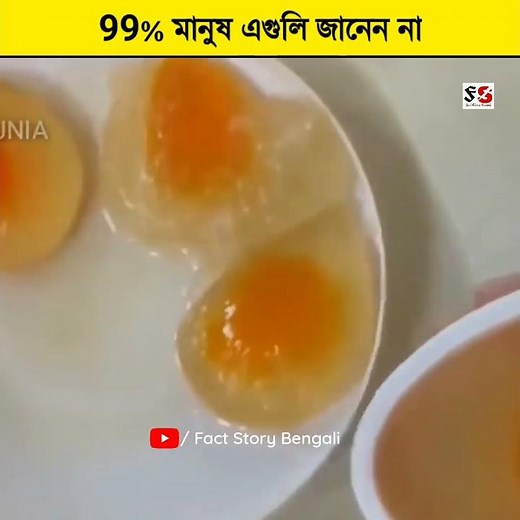 অবাক করা ৫ টি অজানা তথ্য || top 5 random amazing facts bangla