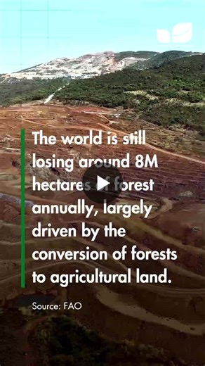 While deforestation remains a major global challenge, Europe still imports around 250,000 hectares of deforestation linked to agricultural products each year—effectively importing associated… | Tropical Forest Alliance