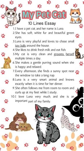 My Pet Cat 🐱 | 10 Lines Essay in English | Nursery & KG Kids