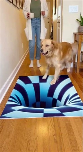 Dog vs Cat: The VORTEX RUG Challenge! 😂🐕🐈