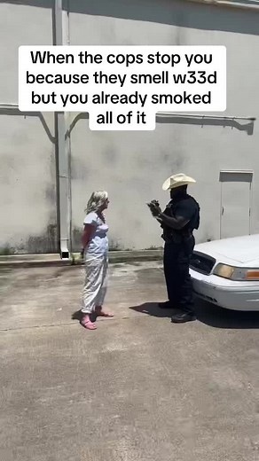 Humorous Take on Police Stops and Petty Conflicts