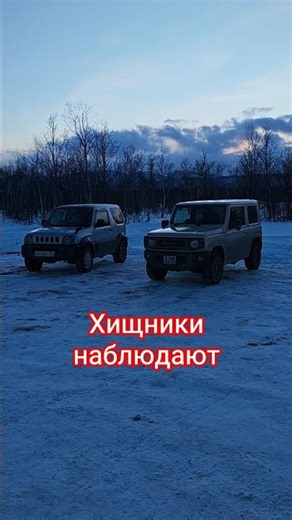 While animals frolic, predators watch. Suzuki Jimny