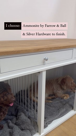 Custom Pet Furniture Design for Large Breeds