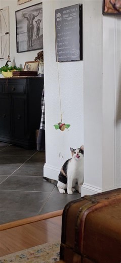 She is so silly I swear🤣🤣🤣🤣 #funnyreels | creating content with Candice