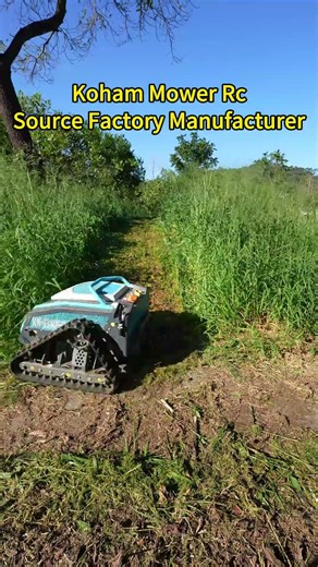 Professional Grade Lawn Mower for Large Scale Lawn Maintenance