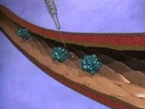 Protein binding animation