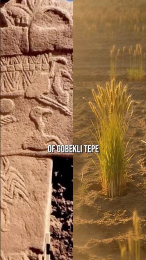 A Spiralling Magnetic Anomaly at Heart of Göbekli Tepe | Hugh Newman Podcast Clip