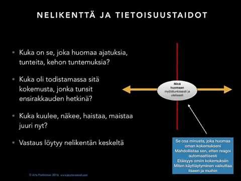 Osa 2. Nelikenttä - lyhyt esittelyvideo