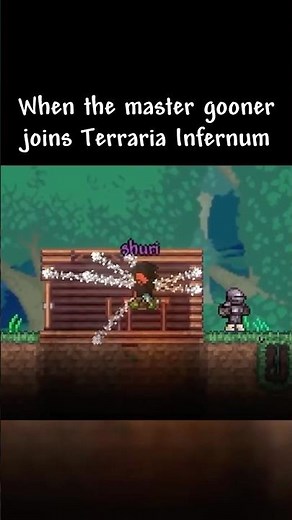 When The Master Joins Terraria Infernum Multiplayer...