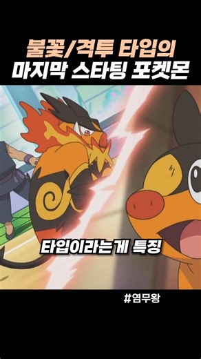 불꽃/격투 타입의 마지막 스타팅 포켓몬
