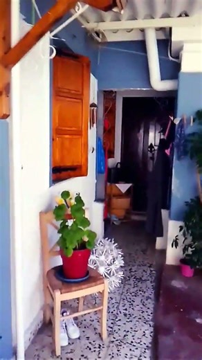 (😂😂 Άσε με επιτέλους με τα βίντεο σου!!)🐶🐾💖🧡