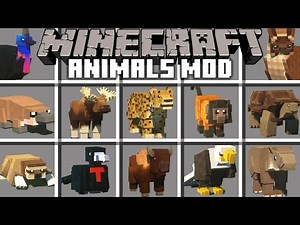 Minecraft Animals Spawn Egg (Zoo & Wild Animals ZAWA) | Minecraft 4K + Shaders PC (No Commentary).