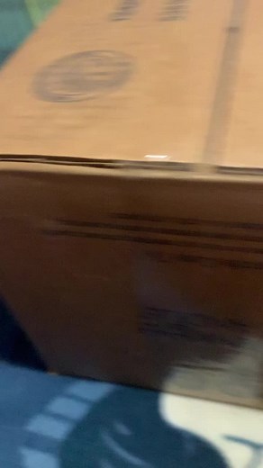 Fun Games to Play with Your Guinea Pig