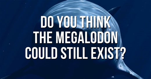 LiveScience on Reels