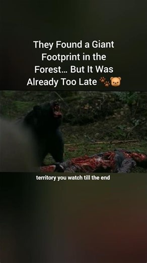 They Entered the Forest for a Peaceful Hike… But Something Was Hunting Them 🐻🌲