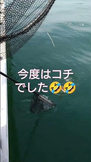 #Short#fishing #瀬戸内海 #鯛ラバ #オフショア #うどん県高松遊漁船勝栄丸です！雨風後の鯛ラバ釣行でしたがまずまず釣れました！