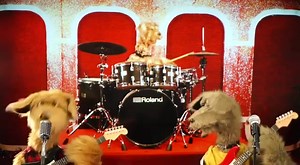 🐶 #soad | Heavy Metal Peru