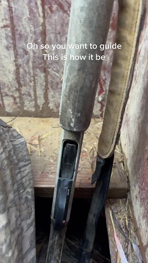 Truth hurts #waterfowl #hunting