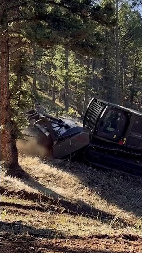 Raptor 500 Prinoth, triturador florestal em alta declividade