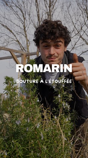 Goran le permaculteur on Instagram: "Aujourd’hui je t’explique comment faire des boutures de romarin ! 🌱 #romarin #bouture #potager #jardin #permaculture"