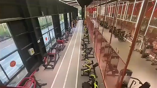 Tibia Dorsi Flexion Steel Plate Loaded Machine for Commercial Gym Use-Fitness Equipment